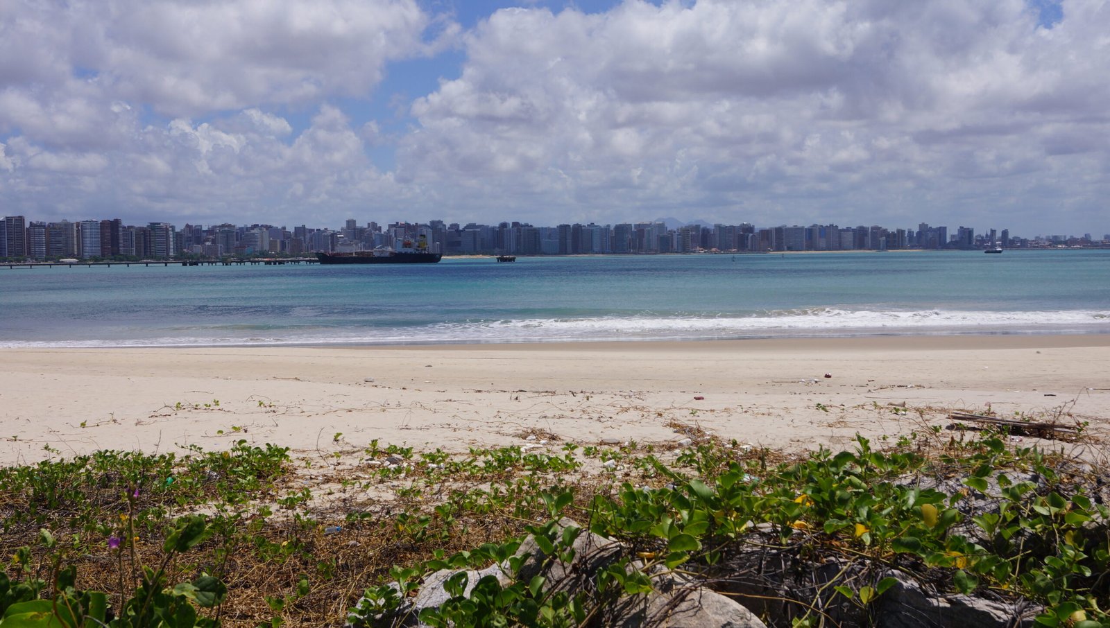 Praia Mansa em Fortaleza, Ceará, com coqueiros e mar calmo
